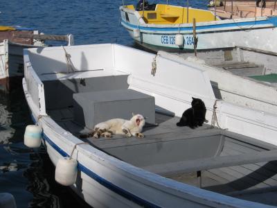 Прикрепленное изображение: IMG_2469.JPG